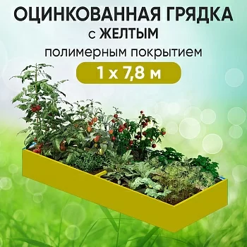 Грядка желтая (1 х 7,8)