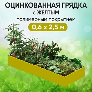 Грядка желтая (0,6 х 2,5)