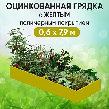 Грядка желтая (0,6 х 7,9)
