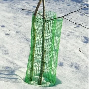 Забор от зайцев