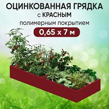 Грядка красная (0,65 х 7)