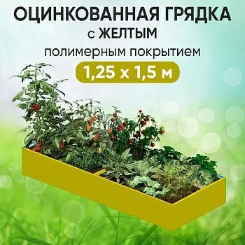 Грядка желтая (1,25 х 1,5)