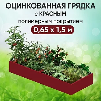 Грядка красная (0,65 х 1,5)