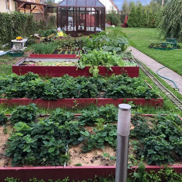 Высокая красная грядка (0,5 х 1,5)